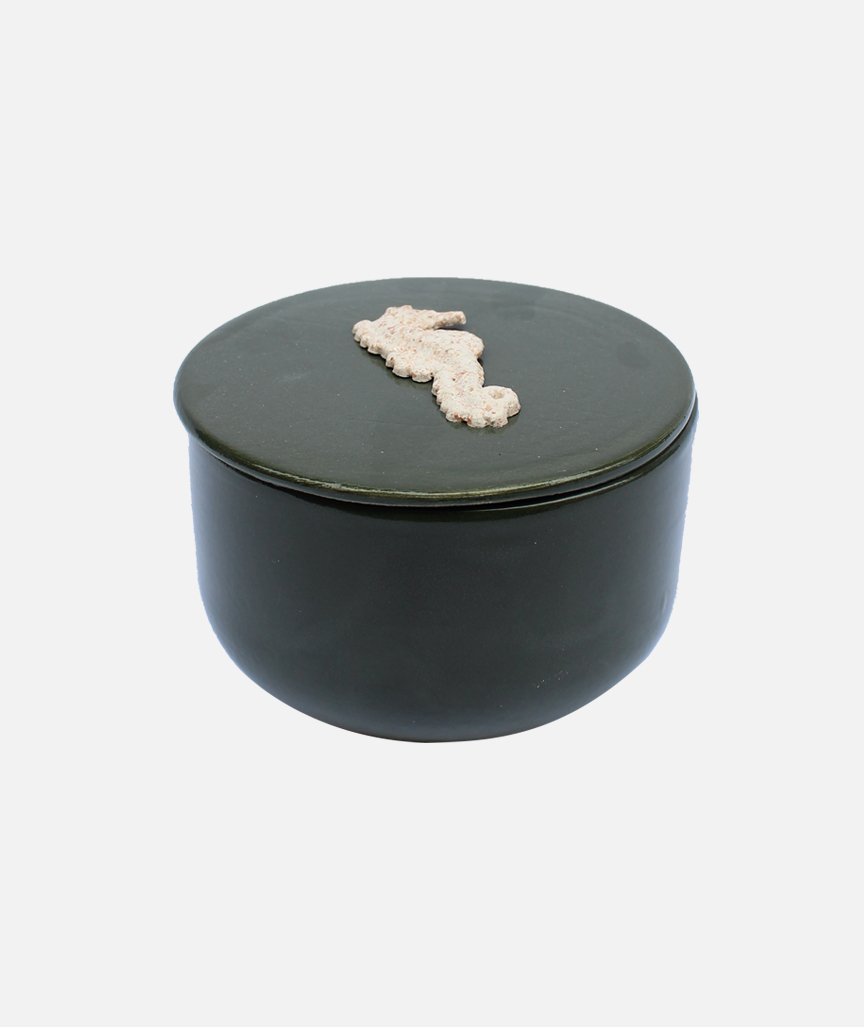 Box mit Seepferdchenfigur