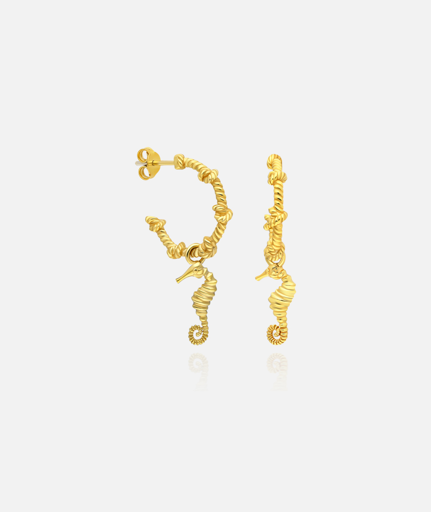 Seepferdchen Creolen