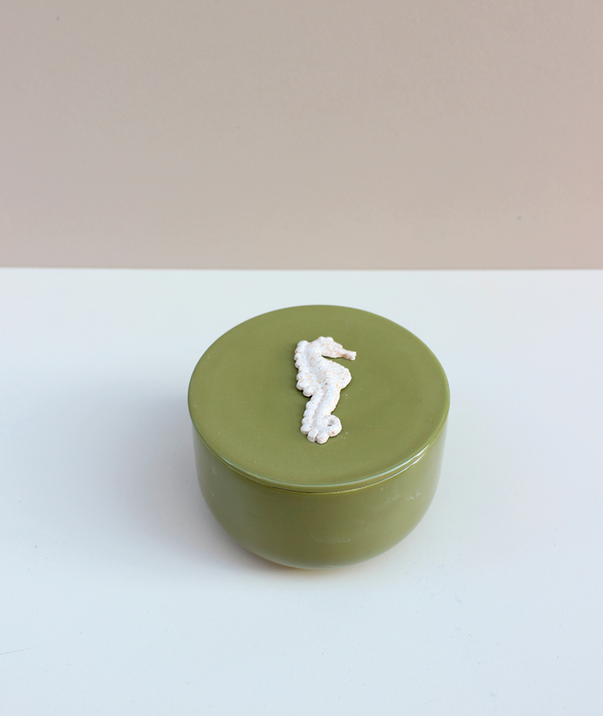 Box mit Seepferdchenfigur