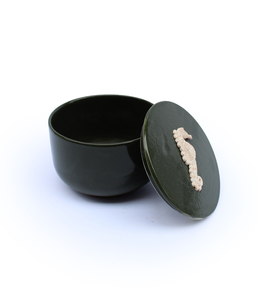 Box mit Seepferdchenfigur