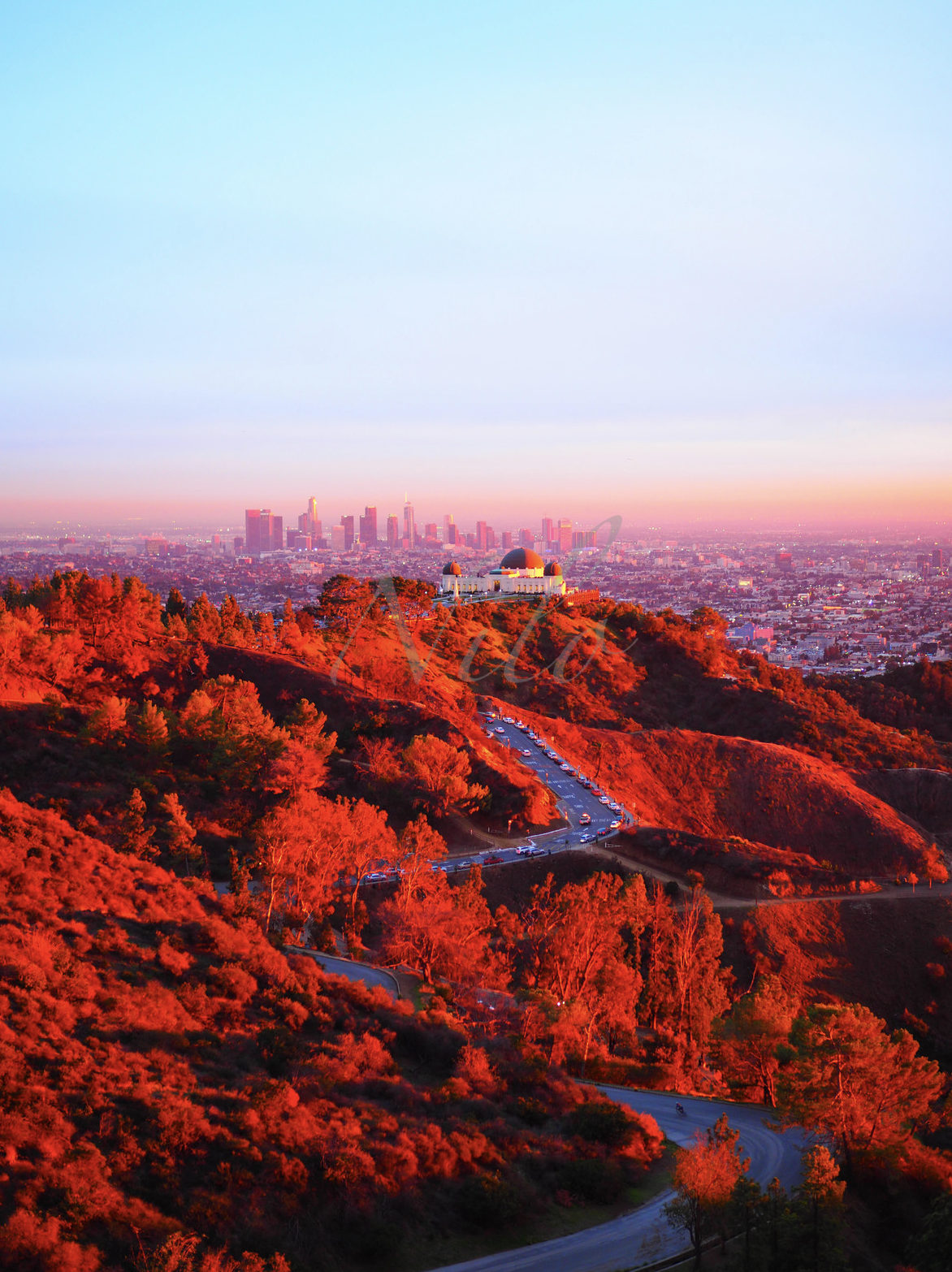 LA in Red Ink