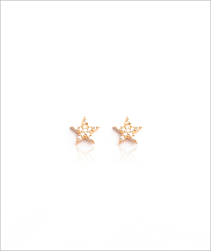 Designed with stones Star Stud Earrings