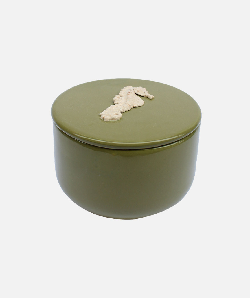 Box mit Seepferdchenfigur