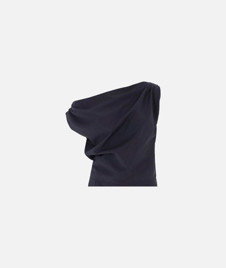 Bruneau Top