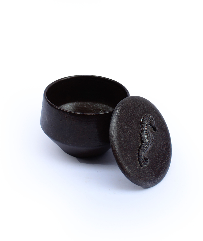 Seepferdchenbox metallic