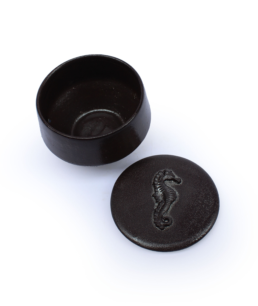 Seepferdchenbox metallic