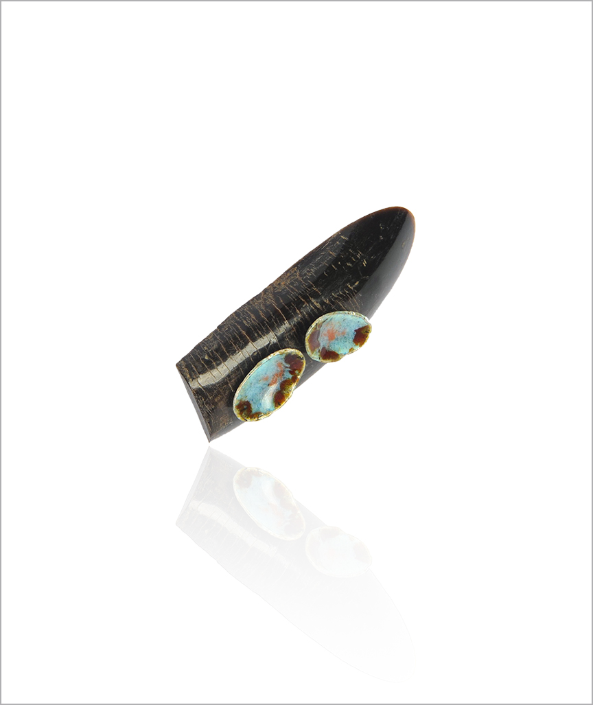 BoneRingWithEnamelling2 Knochenring mit Emaille