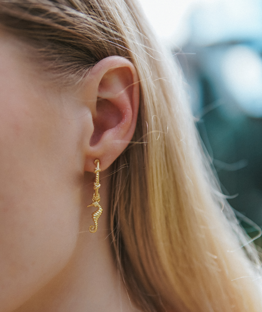 Seepferdchen Creolen